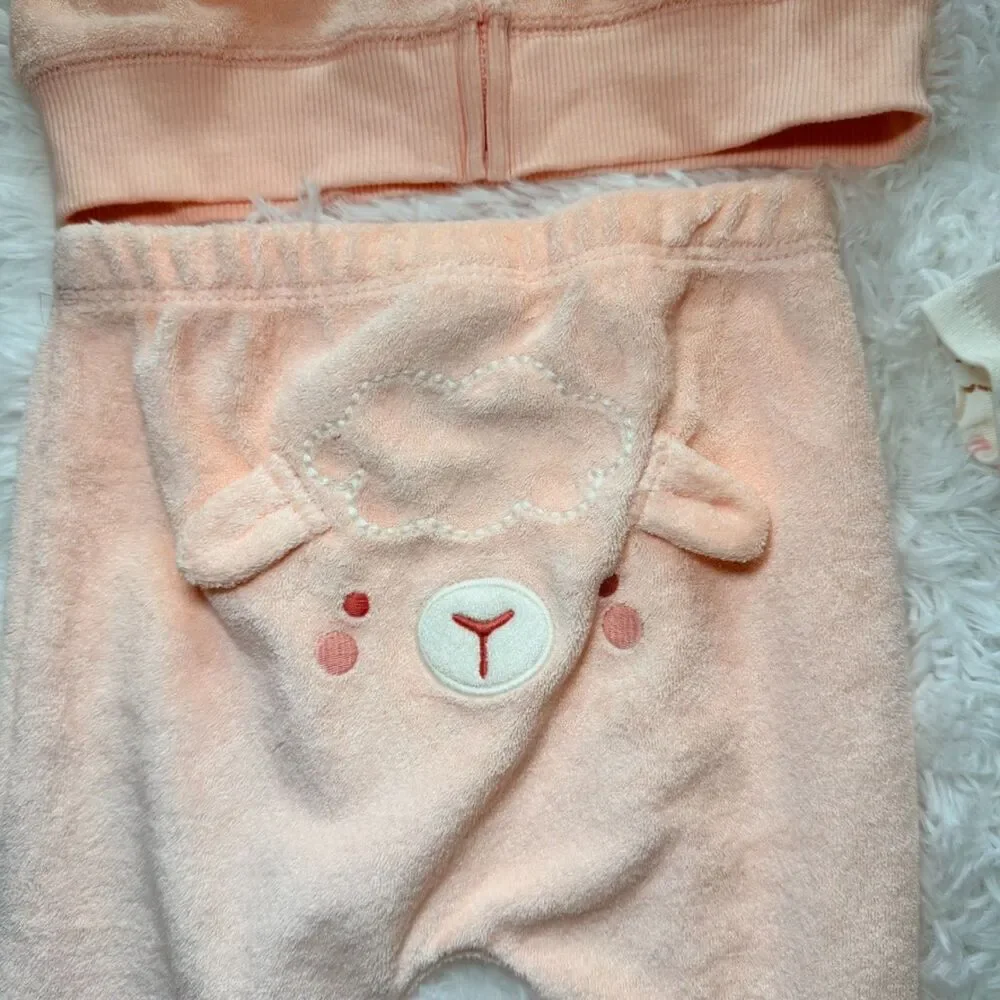 NWT Baby Outfit Set 12M Pink Hoodie Pants Onesie 3 Piece - Picture 3 of 8